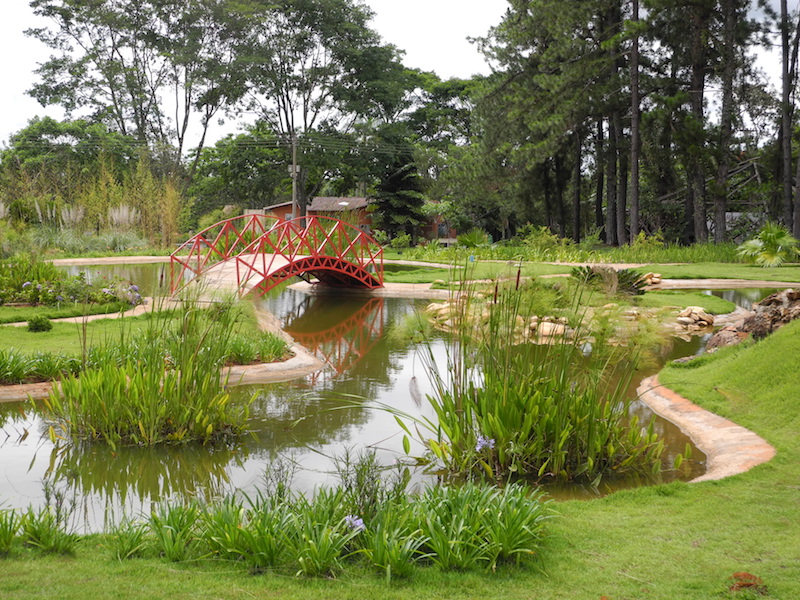 JBB comemorará seu 37° aniversário - Belissimo esse espaço do Jardim Botanico de Brasilia