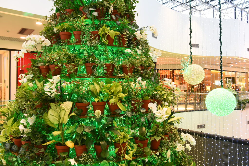 jardim de noel brasilia shopping